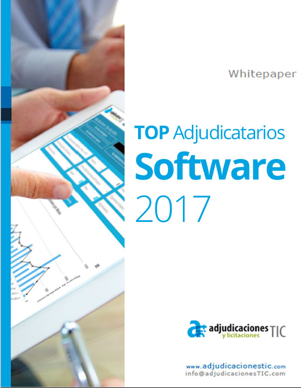 Top Adjudicatarios Software en 2017